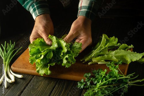 The cook on the kitchen table sorts lettuce leaves before preparing vegetarian food for lunch. Close-up of a chef hands while preparing a salad
