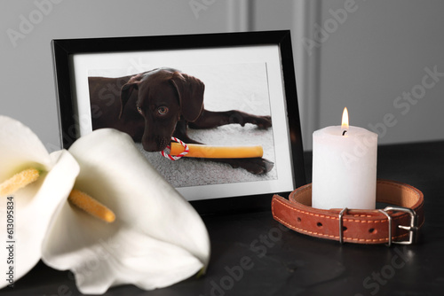 Foto Frame with picture of dog, collar, burning candles and calla flowers on black table, closeup