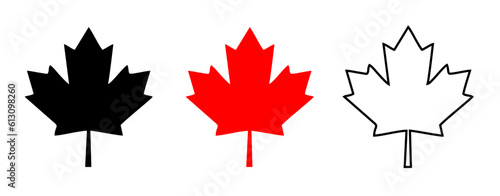 maple leaves icon collection isolated on transparent background. vector illustration
