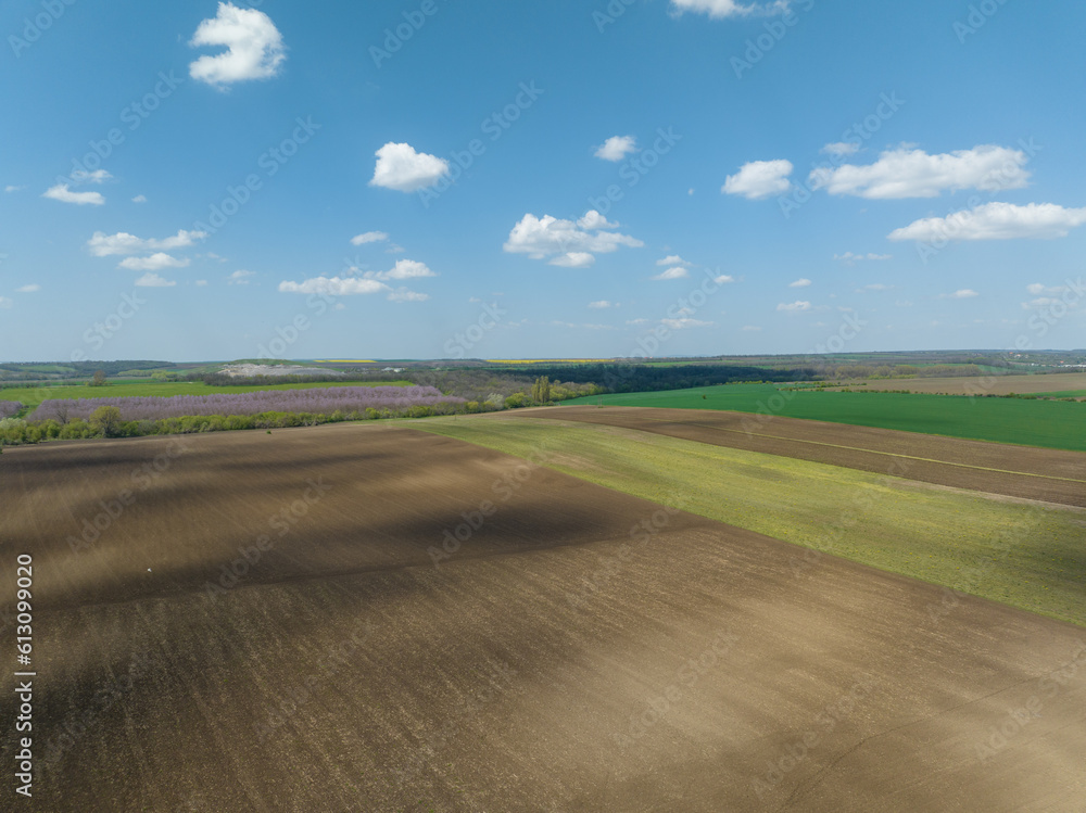 Wheat is growing in a large field in Hungary. 밀, 곡식, 들판, 농업, 농사	
