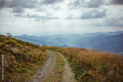 A winding mountain road in the Ukrainian Carpathians, offering stunning views of the rugged peaks and lush valleys