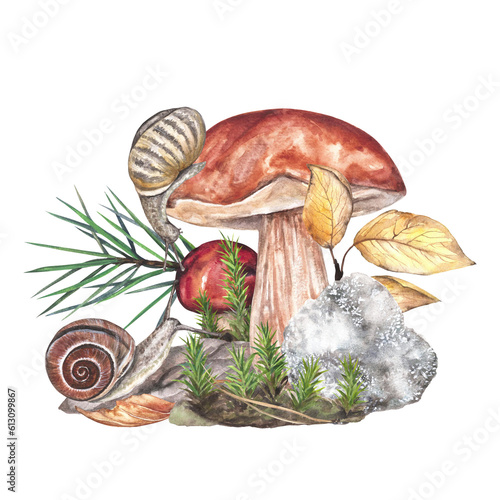 Autumn composition of forest mushrooms with snails. Watercolor illustration of porcini mushrooms, pine branches, moss and yellow leaves isolated on a transparent background. 