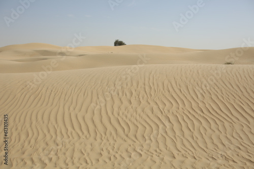 The hot desert landscape of Dubai.