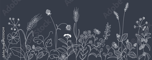 minimal botanical fall and autumn graphic sketch line art drawing, trendy tiny tattoo design, leaf elements vector illustration
