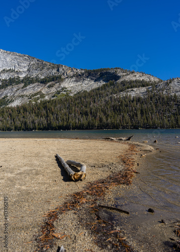 stone on the beach
