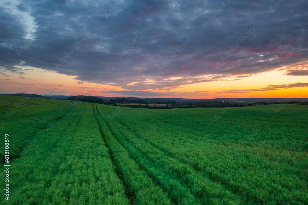 Idyllic sunset over the meadow in Poland Idyllic sunset over the meadow in Poland