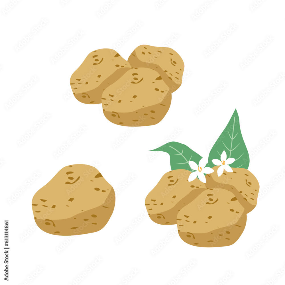 Potato Illustration Vector Set Potato Illustration Vector Set