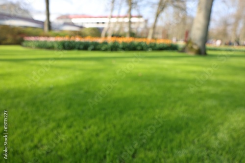 Blurred view of beautiful park on sunny day