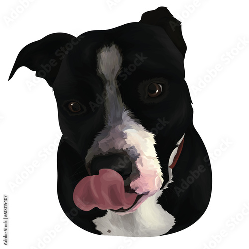 staffordshire bull terrier