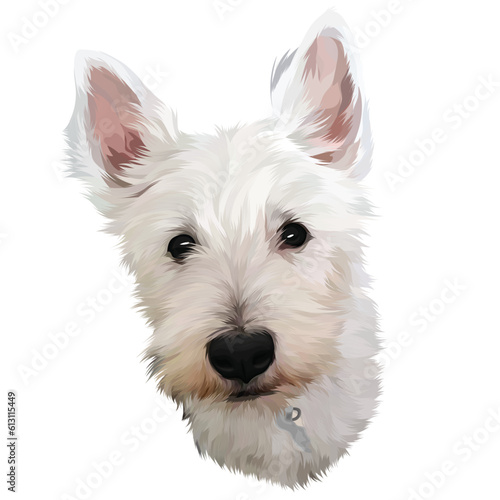 west highland white terrier