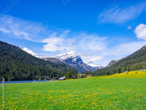 breathtaking alpine landscape of switzerland. meadow with dandelions against the backdrop of the Alps