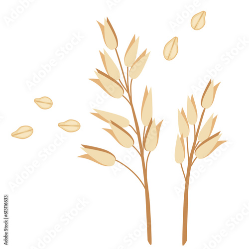 illustration of wheat, oats, oatmeal