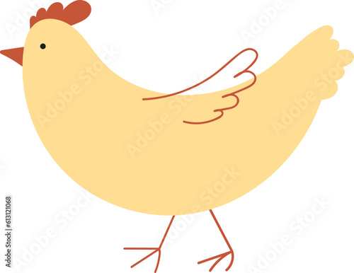 chicken illustration, funny cartoon chicken vector illustration, farm bird illustration