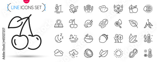 Pack of Deckchair, Cherry and Sunflower seed line icons. Include Sunny weather, Incubator, Water analysis pictogram icons. Organic tested, Fruits, World water signs. Maggots. Vector
