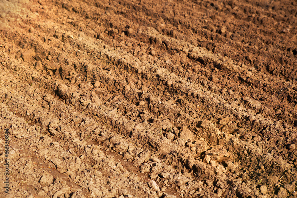 Rural landscape. Row plowed field, sown with cereals or prepared for planting, brown earth, clay or loamy soil. Organic agriculture. Agricultural land. Agricultural background. Rural landscape. Row plowed field, sown with cereals or prepared for planting, brown earth, clay or loamy soil. Organic agriculture. Agricultural land. Agricultural background.