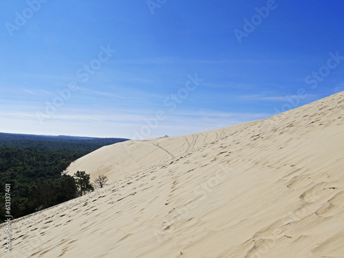 The Pilat Dune or Pyla Dune, on the edge of the forest of Landes de Gascogne on the Silver Coast at the entrance to the Arcachon Basin, is the highest dune in Europe, Aquitaine, France © slowmotiongli