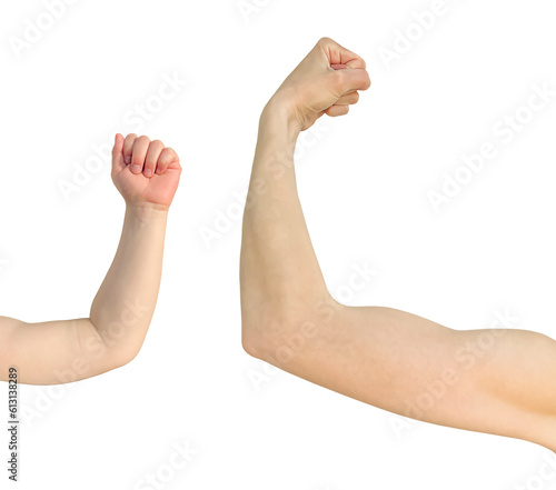 The hand of a child and an adult isolated on a white background. Biceps of the arm. The child and mom show muscles  play. The concept of a family. The concept of power. Strong hands. Close-up. Family.