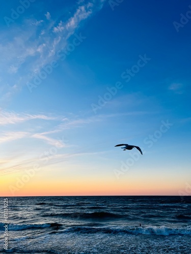 silhouettes of flying sea gulls at the sea  sunset time  twilights seascape