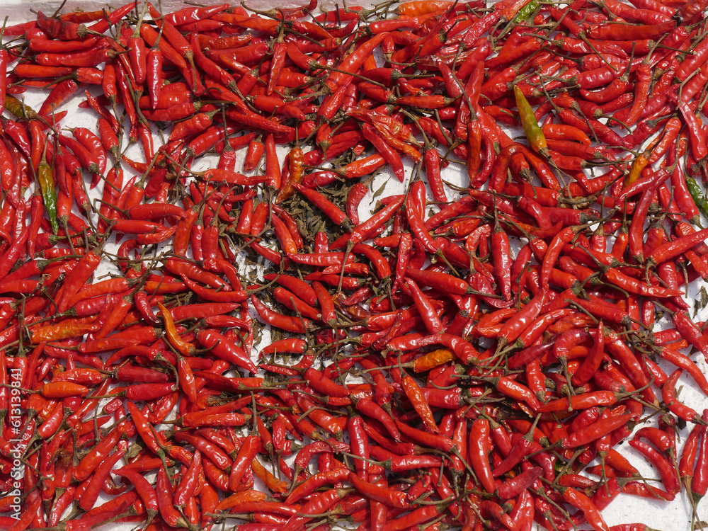 Vietnam, Quang Nam Province, Hoi An City, Old City listed at World Heritage site by Unesco, the Market, Stall with Hot Pepper