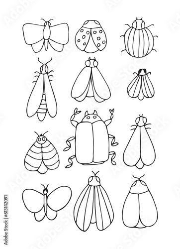 Set winged insects isolated on a white background. All objects are separated. Vector illustration. Hand drawn.