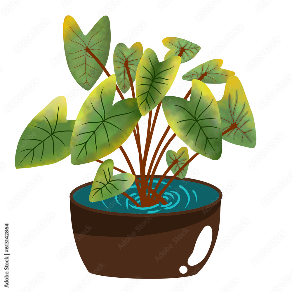 Obraz premium plant in a pot