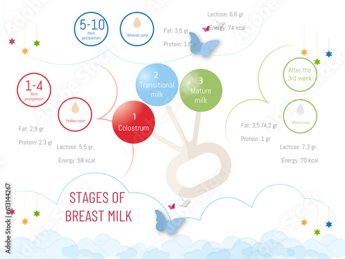 Infographic of the stages of breast milk as the days go by and its characteristics.