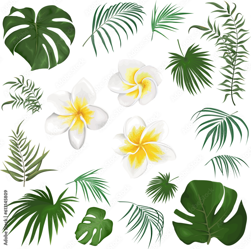 Large vector set of tropical plants and flowers on a white background. Frangipani, palm leaves and other tropical plants. Vector illustration Large vector set of tropical plants and flowers on a white background. Frangipani, palm leaves and other tropical plants. Vector illustration