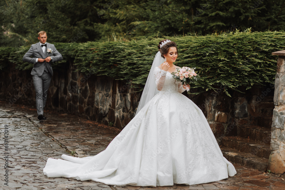 A handsome groom and a charming bride are walking together near the stone fences in the park. Luxurious dress with a long train. groom from behind