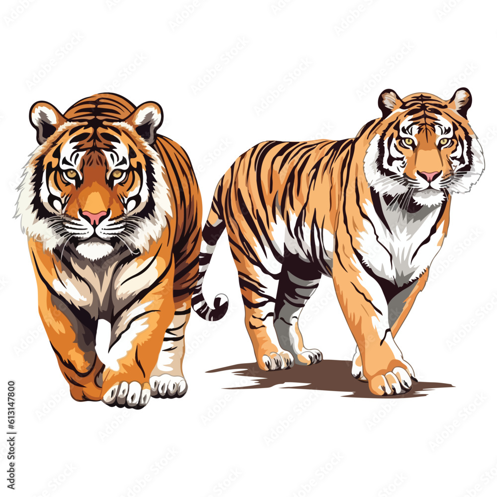 Obraz premium tiger vector on white background