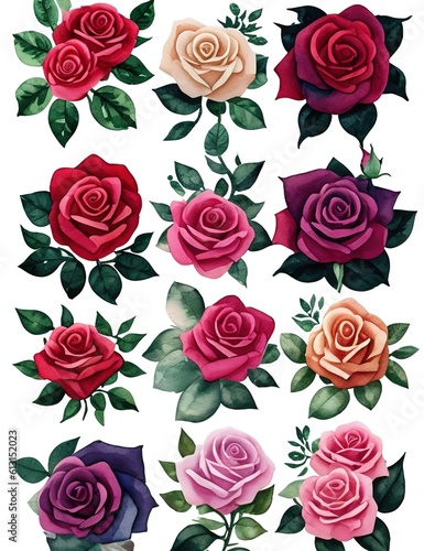 Sticker pack of pink and red roses with leaves on white background. Floral background.