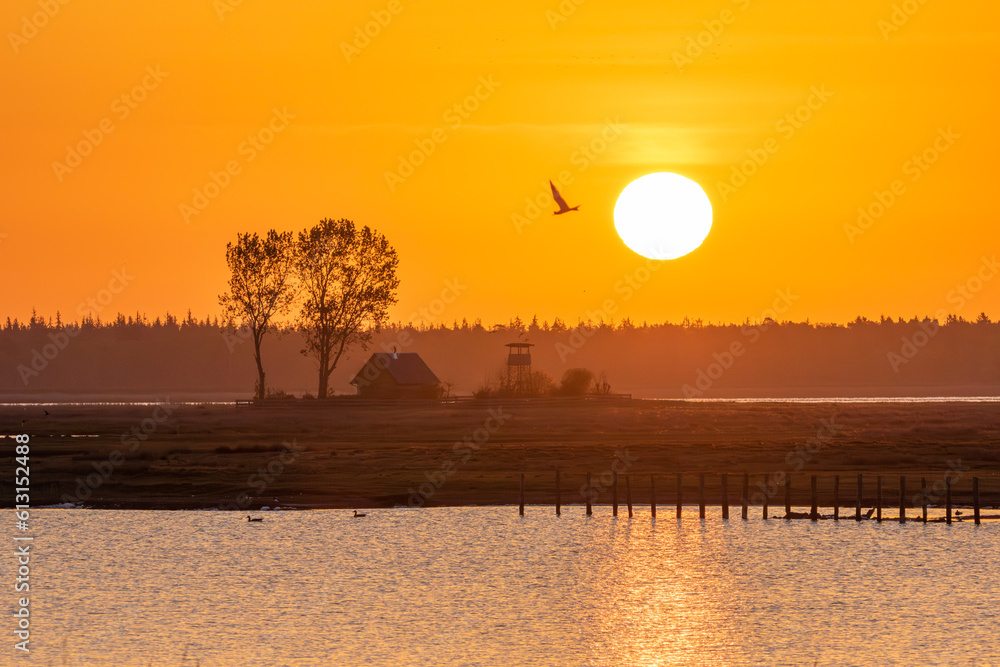 Fototapeta premium Sonnenaufgang am Bodden vor Zingst an der Ostaee.