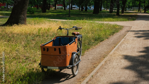 Fototapeta Naklejka Na Ścianę i Meble -  Wooden E-cargo bike parking in a park in Berlin. Bright summer day. Grass in foreground. Eco friendly nature trip.