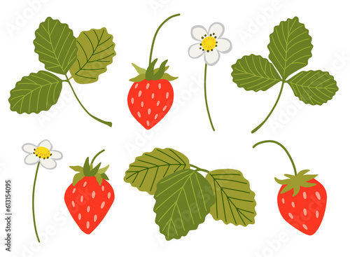 Strawberry vector set. Sweet red berries, white flowers, leaves isolated on white background. Hand drawn cartoon wild woodland strawberry illustration. Summer fruits with vitamins, healthy diet food