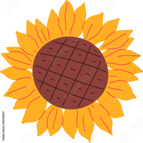 Sunflower Flower Head