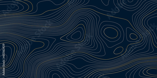 Abstract colorful blue topographic wavy curve line background. Topography map pattern, Geographic blue curved relief. Topographic lines background. Vector illustration.