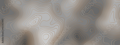 Abstract wave curved lines topographic contours map background. Abstract geographic golden wavy and curve grid lines map background.