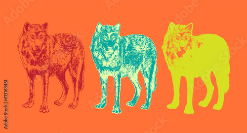 hand drawn colorful wolf illustrations with variants