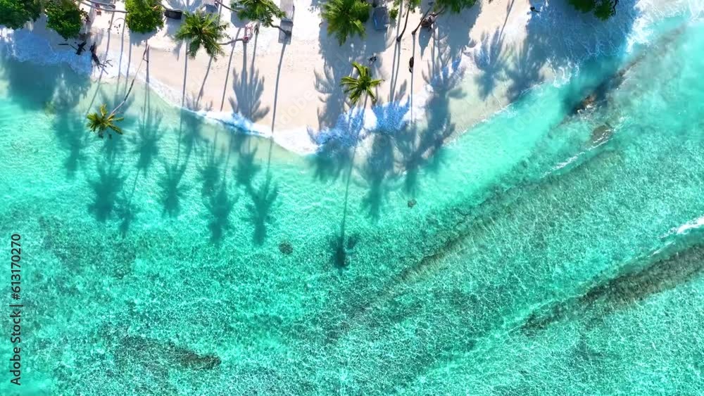 Summer palm tree and Tropical beach with blue of seashore background