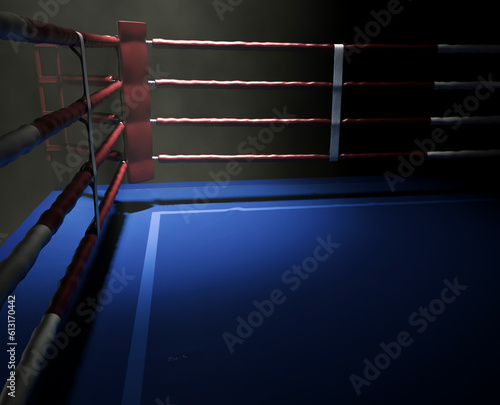 Boxing Ring Spotlight Corner