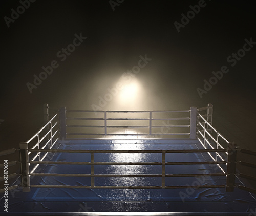 Modern Boxing Ring