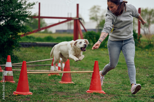Woman mistress playing with her dog agility jumping over a hurdle obstacle