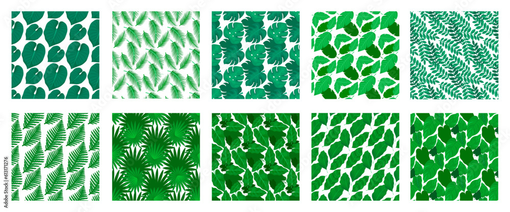Set of Tropical patterns in vector illustration, summer leaves, palms