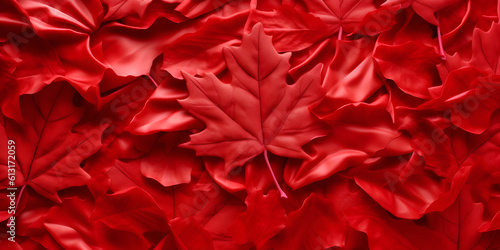 "Canadian Pride: Exploring Maple Leaf Magic on Canada Day"