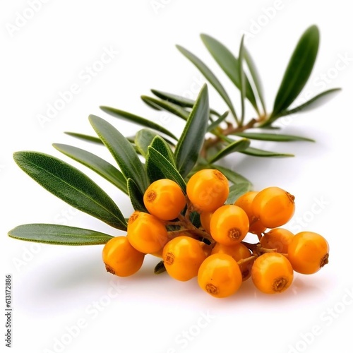 Ripe buckthorn with green leaves isolated on white background. AI generated.