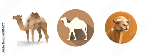 logo of a camel vector animal