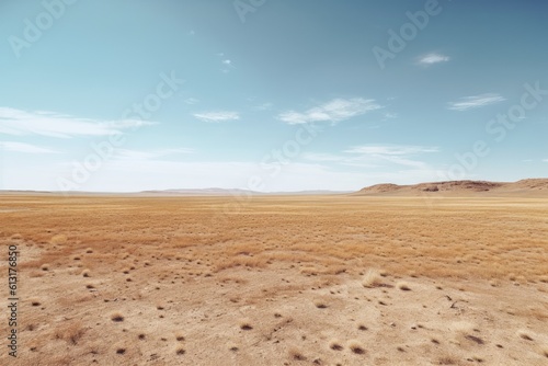 A landscape photograph featuring a vast expanse of empty space  such as a desert field. Generative AI