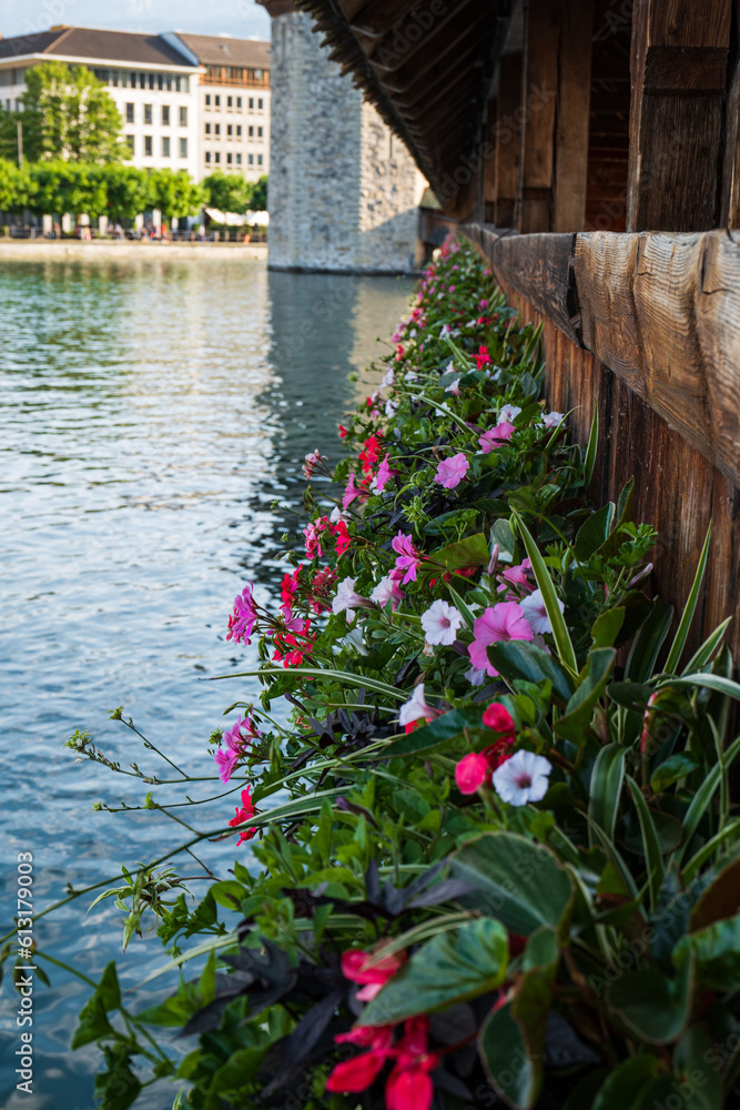 View of blooming Pelargonium flower rows from the famous Chapel Bridge in Lucerne Switzerland