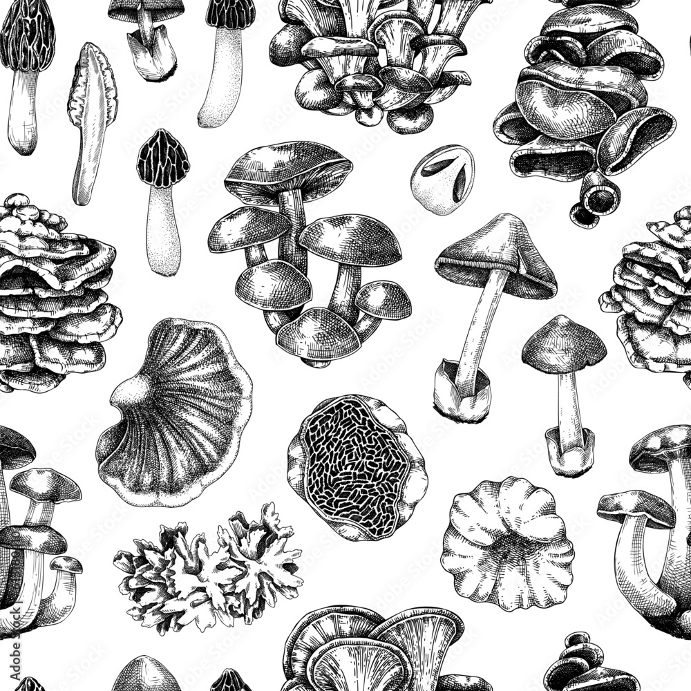 Straw mushroom texture design. Edible fungus background. Fungal protein