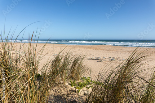 Strand mit Dünengras