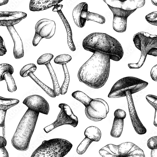 Edible mushrooms seamless pattern. Hand drawn food background. Forest plants sketches for recipe, menu, label, icon, packaging. Vintage fungi texture design. Botanical illustration